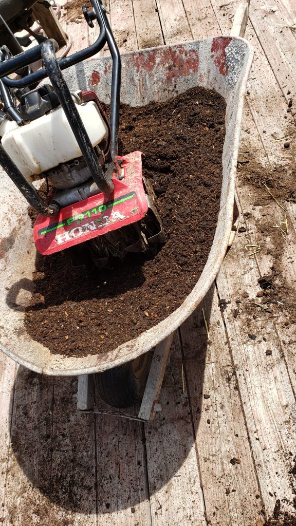 diy-wine-barrel-herb-garden